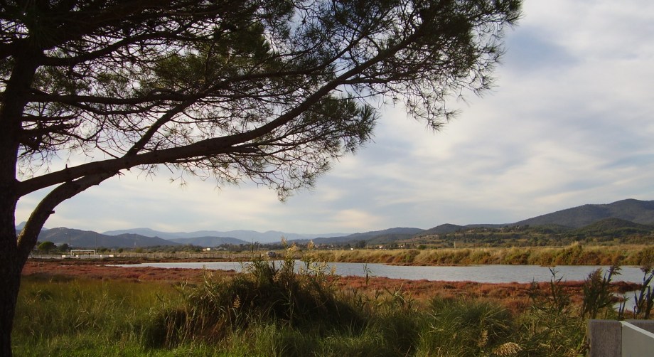 Vieux Salins nature reserve