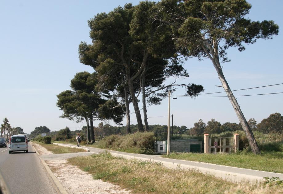 Piste cyclable Hyères, Var.
