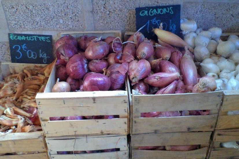 oignons échalottes