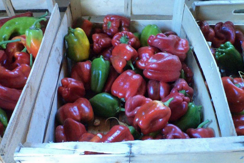 poivrons frais